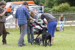 IMG 3679