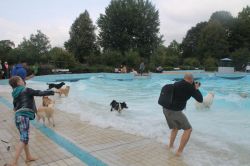 IMG 5330