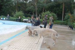 IMG 5352