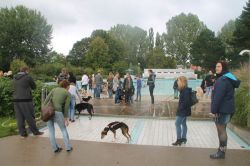 IMG 5475