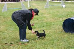 10514715 258251504382662 7968302543925760343 N