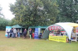 IMG 2260