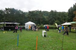 P1070503