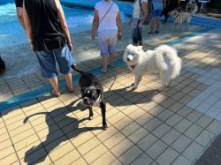 IMG 5573